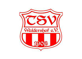 TSV Waldershof Neujahrscup